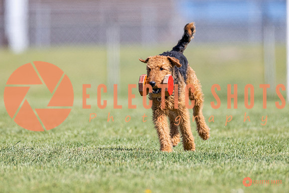 2025-K9Force-MayExams-8349