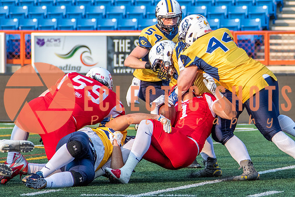 CalgaryColts-2499