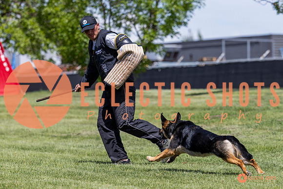 2025-K9Force-MayExams-7222