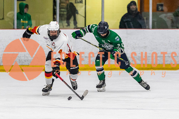 2022.11.09CalFlames-FVTBirds-0378