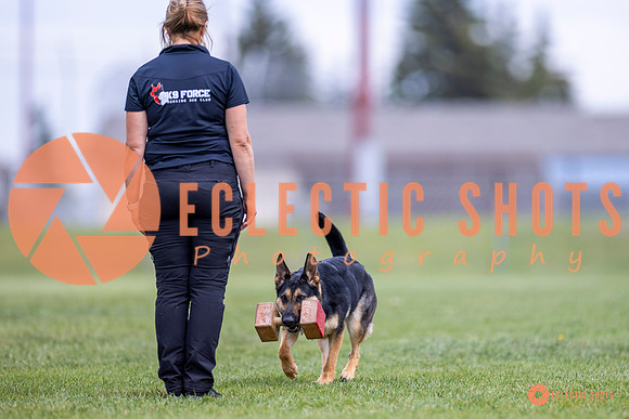 2025-K9Force-MayExams-7099