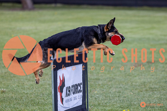 2025-K9Force-MayExams-6173