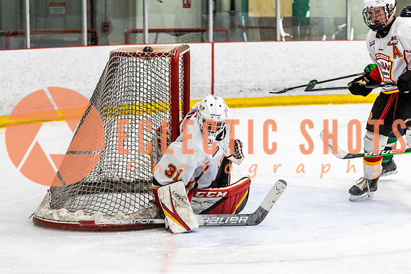 2022.11.09CalFlames-FVTBirds-0536