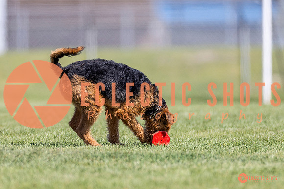 2025-K9Force-MayExams-8331