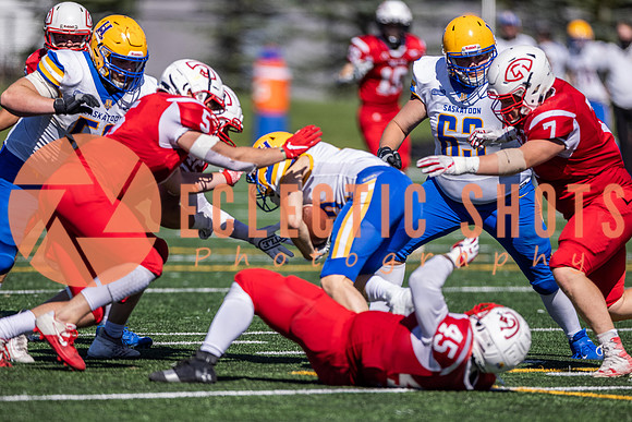CalgaryColts2021-7681