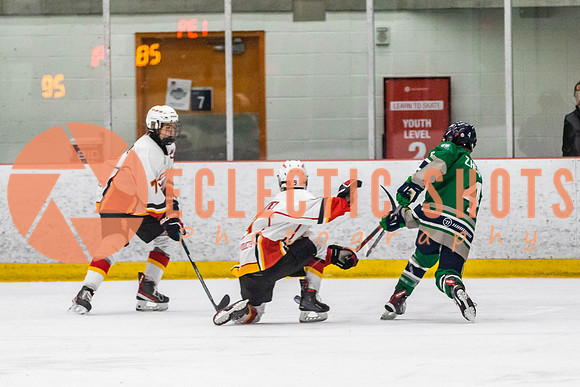 2022.11.09CalFlames-FVTBirds-0455