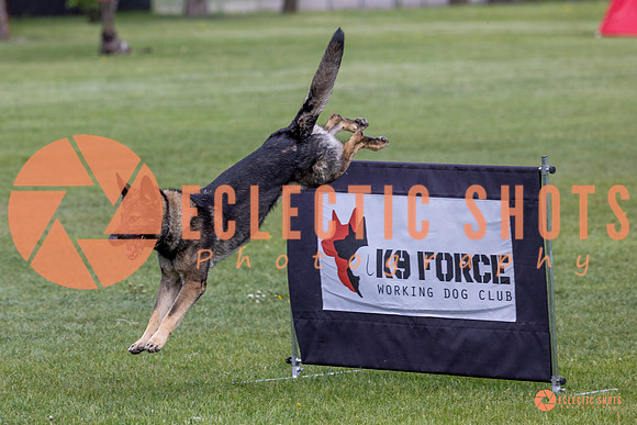 2025-K9Force-MayExams-5829