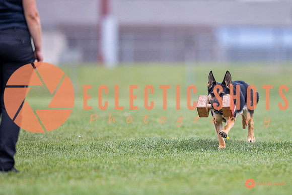 2025-K9Force-MayExams-7078