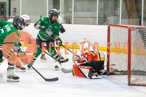 2022.11.09CalFlames-FVTBirds-0267