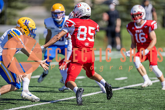CalgaryColts2021-6577