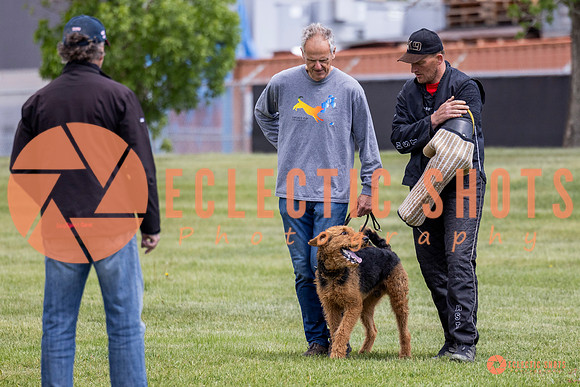 2025-K9Force-MayExams-7875