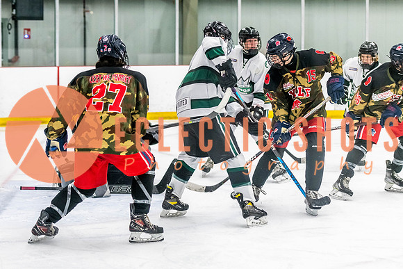 2022.11.11ShPkFlyers-VWGiants-3346