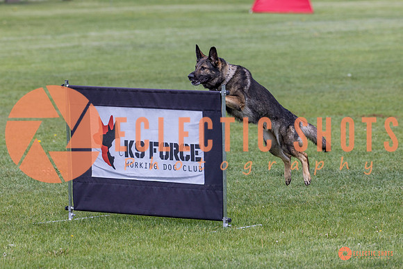 2025-K9Force-MayExams-5820
