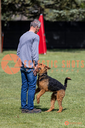 2025-K9Force-MayExams-7378