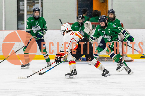 2022.11.09CalFlames-FVTBirds-0491