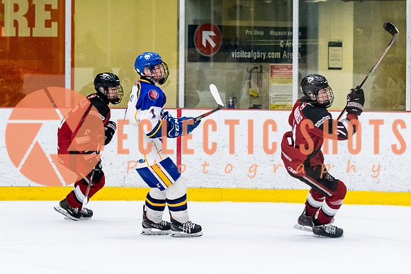 RMC2021-11-13-CalRoyals-VWGiants-7492
