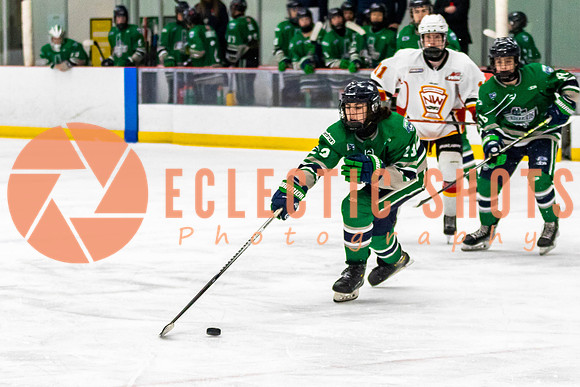 2022.11.09CalFlames-FVTBirds-0245