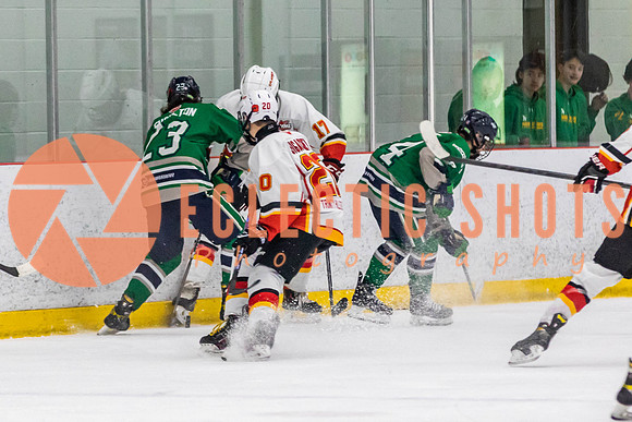 2022.11.09CalFlames-FVTBirds-0371