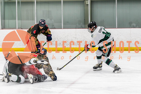 2022.11.11ShPkFlyers-VWGiants-3449