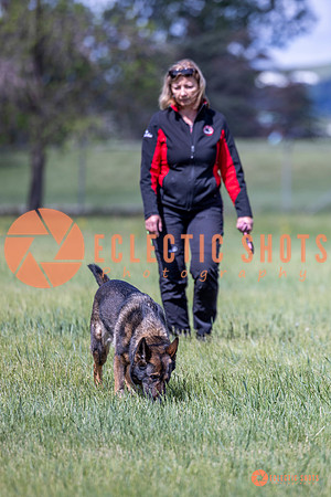 2025-K9Force-MayExams-Kaia-7494