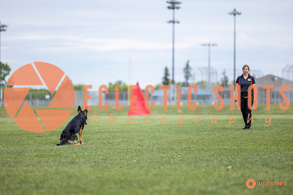 2025-K9Force-MayExams-6135