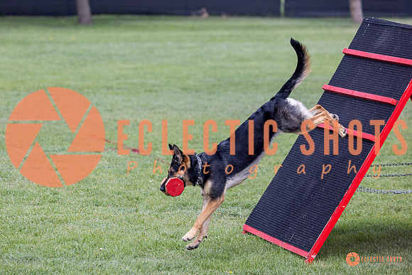 2025-K9Force-MayExams-6260