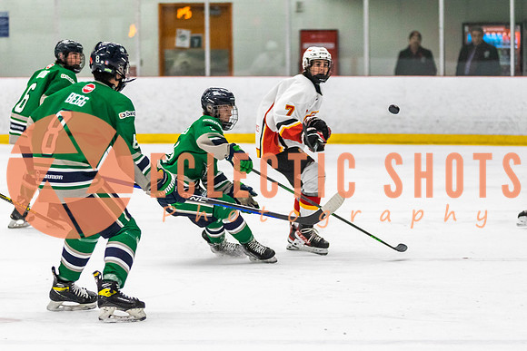 2022.11.09CalFlames-FVTBirds-0374