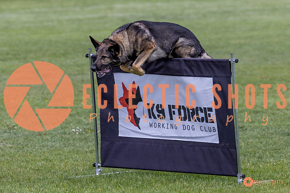 2025-K9Force-MayExams-5825