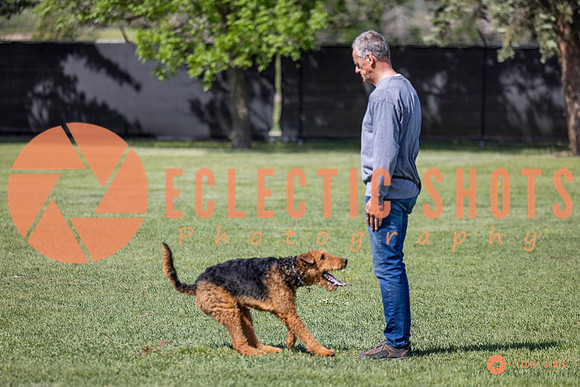 2025-K9Force-MayExams-7400