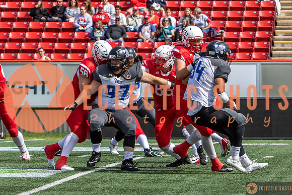 2019CalgaryColts-0268