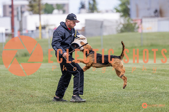 2025-K9Force-MayExams-7852