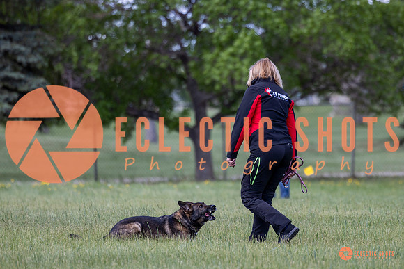 2025-K9Force-MayExams-Kaia-7432