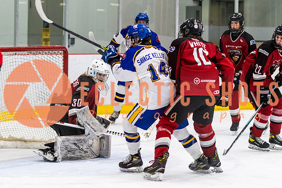 RMC2021-11-13-CalRoyals-VWGiants-7461