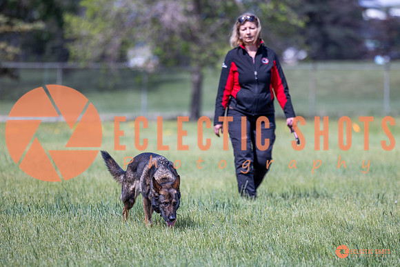 2025-K9Force-MayExams-Kaia-7484