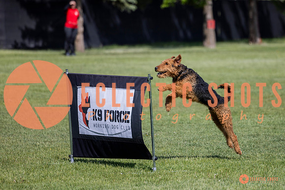 2025-K9Force-MayExams-7357