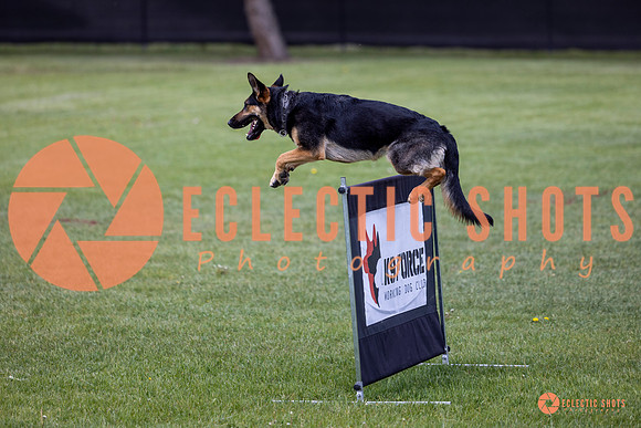 2025-K9Force-MayExams-6154