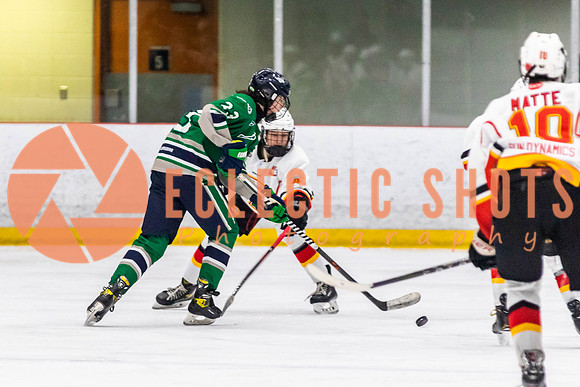 2022.11.09CalFlames-FVTBirds-0333