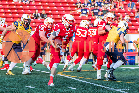 CalgaryColts-2587