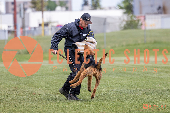 2025-K9Force-MayExams-7855
