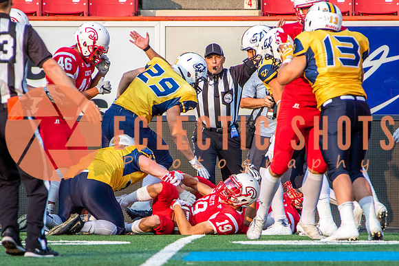 CalgaryColts-2549