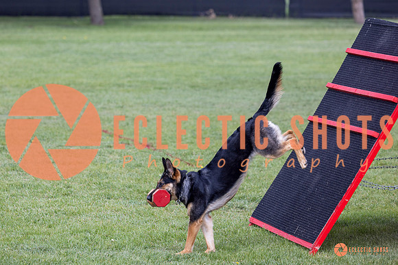 2025-K9Force-MayExams-6261