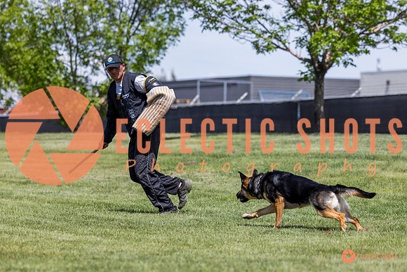 2025-K9Force-MayExams-7217