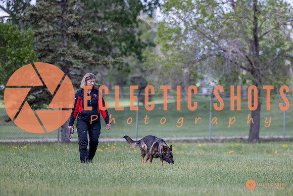 2025-K9Force-MayExams-Kaia-7469