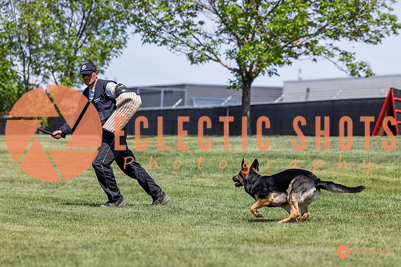 2025-K9Force-MayExams-7214