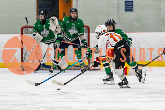 2022.11.09CalFlames-FVTBirds-0488