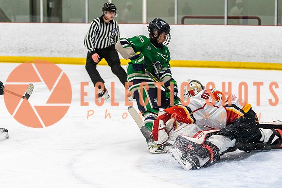 2022.11.09CalFlames-FVTBirds-0298