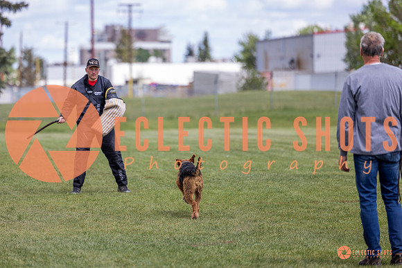 2025-K9Force-MayExams-7838
