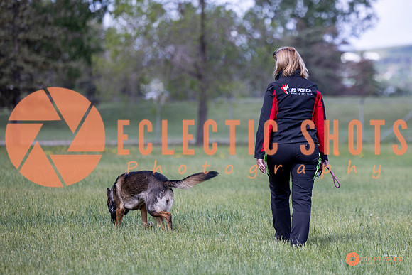 2025-K9Force-MayExams-Kaia-7420