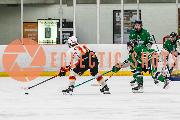 2022.11.09CalFlames-FVTBirds-0493
