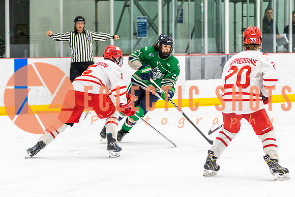 2022.11.10NDHounds-FVTBirds-1311